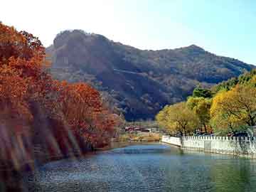 图鉴日韩在线，傲世龙神